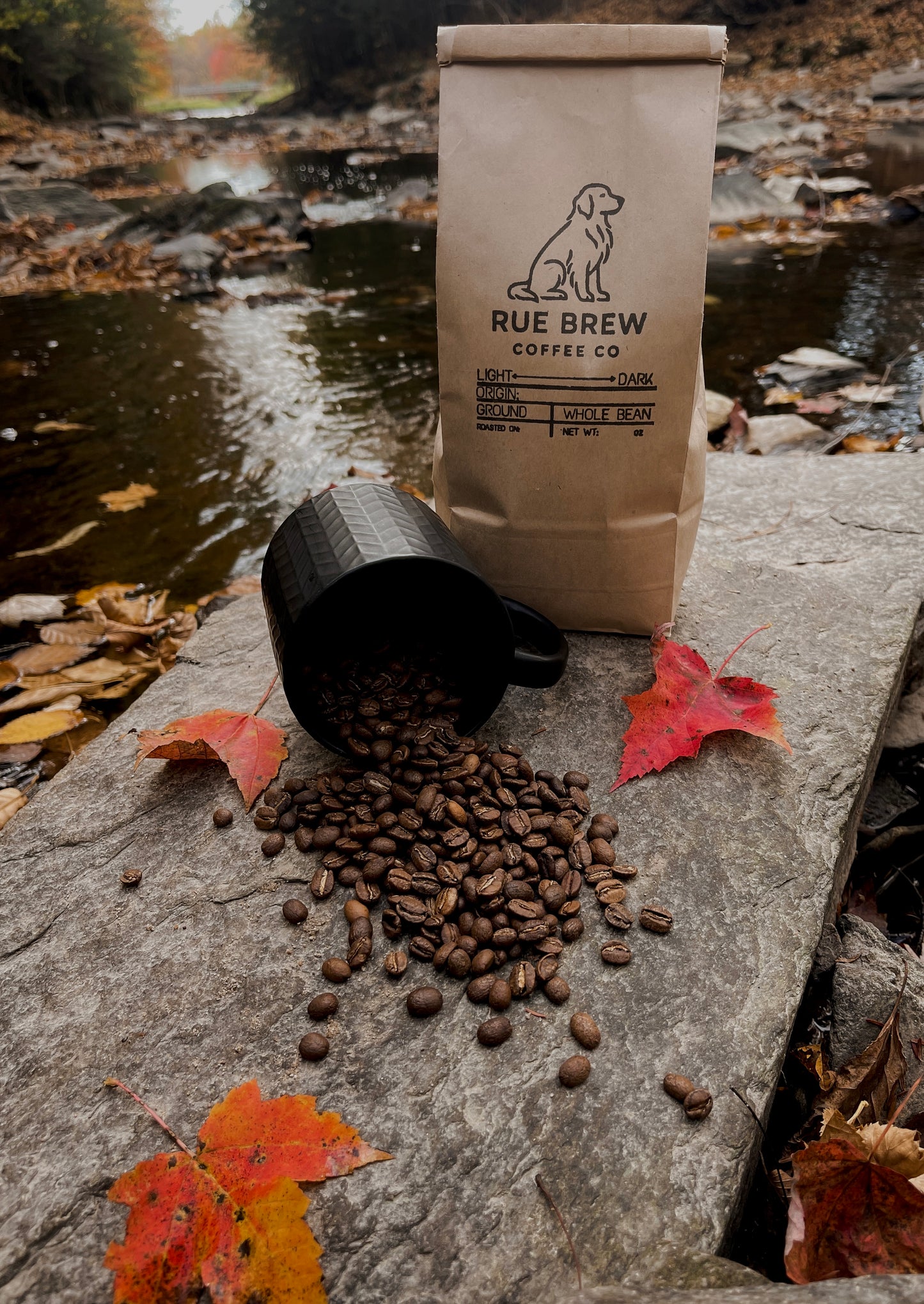 Zoomies - Light Roast