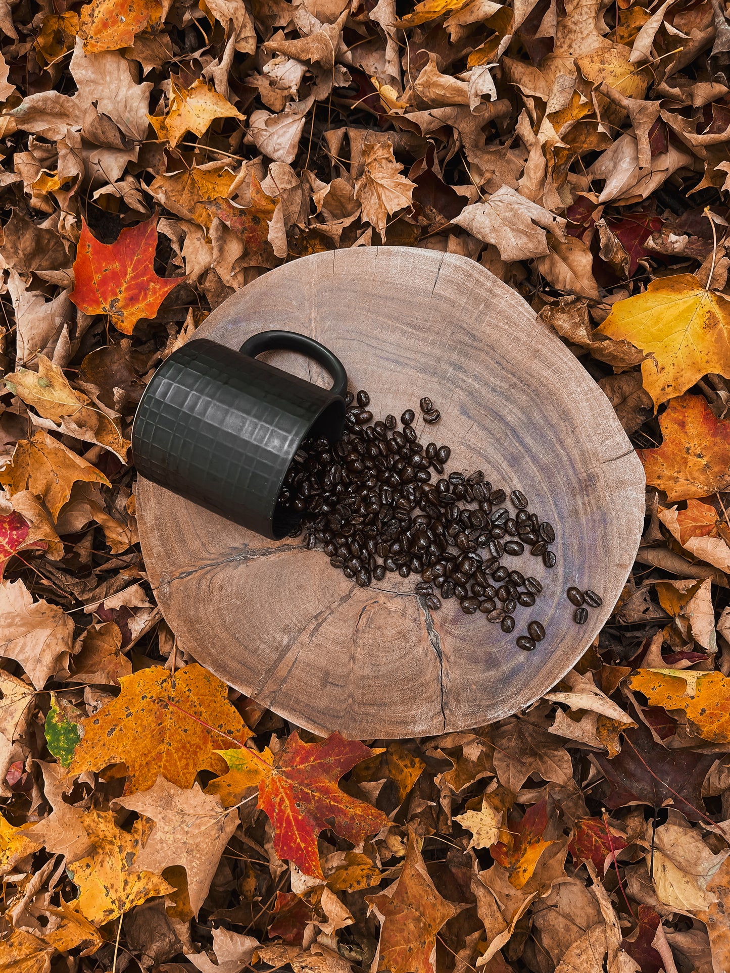 Night Howl - Dark Roast